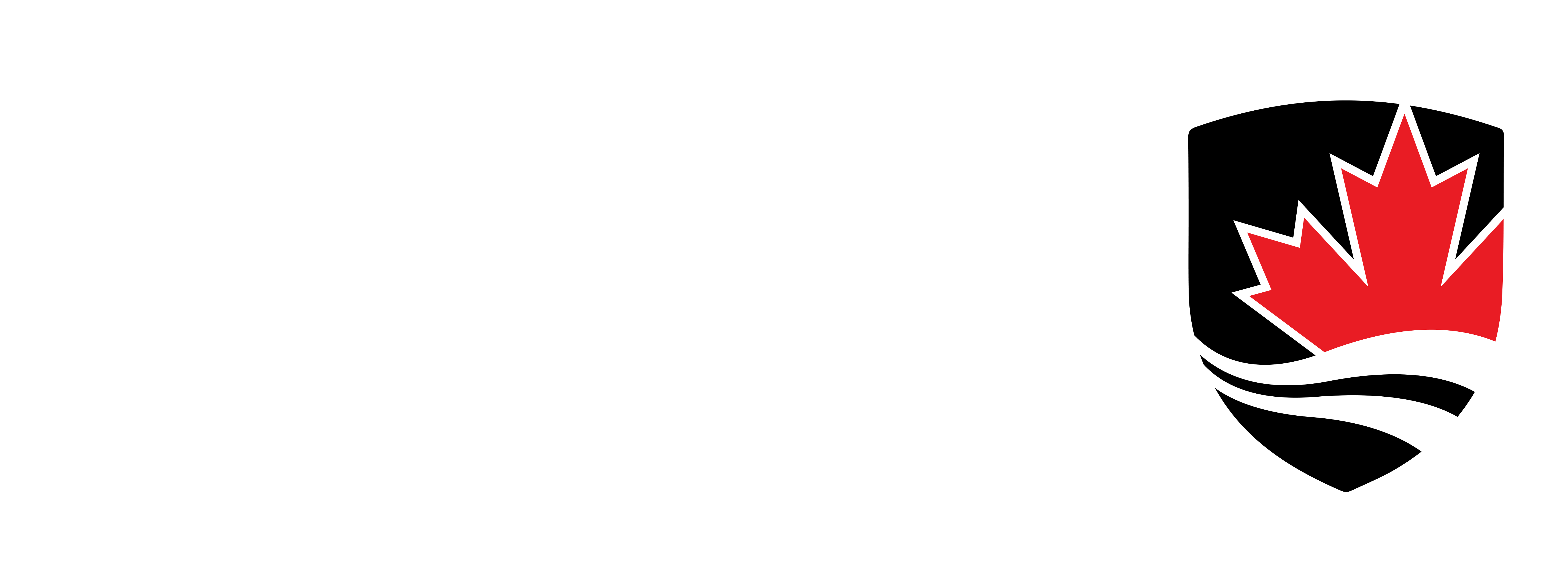 Carleton Logo for footer